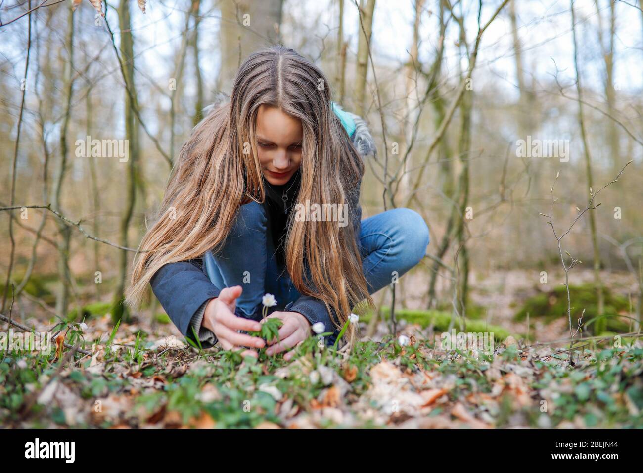 Ein 11-jähriges Mädchen zieht eine kleine weiße Blume in den Wald Stockfoto