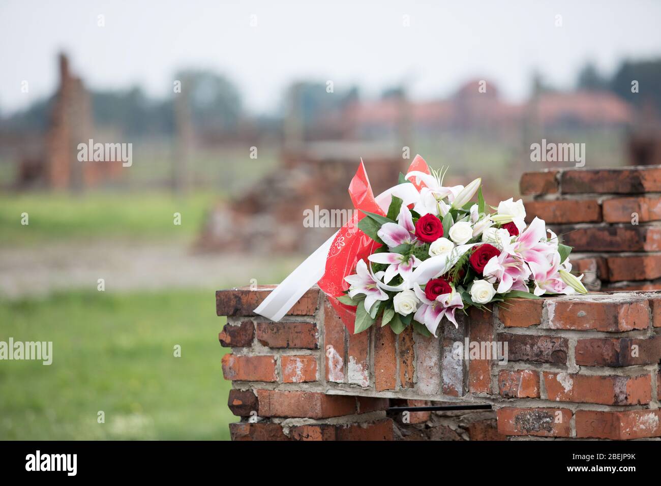 Auschwitz, Polen - 02. August 2017: Europäischer Holocaust-Gedenktag der Roma - 73. Jahrestag der Liquidierung des Zigenerlagers im KL Auschwitz-Birkenau Stockfoto