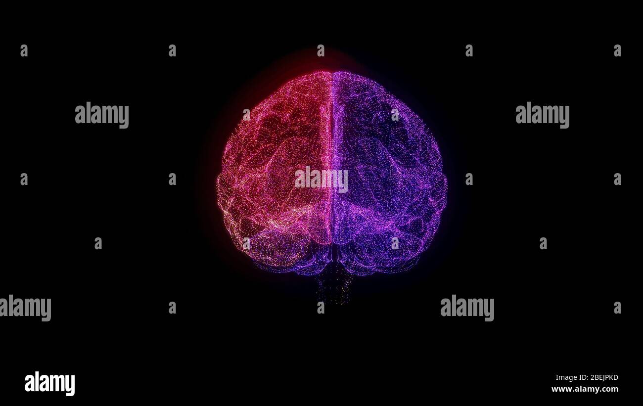Rgb-Drahtmodell Für Hologramm Des Gehirns. Schönes 3D-Rendern auf schwarzem Hintergrund Stockfoto