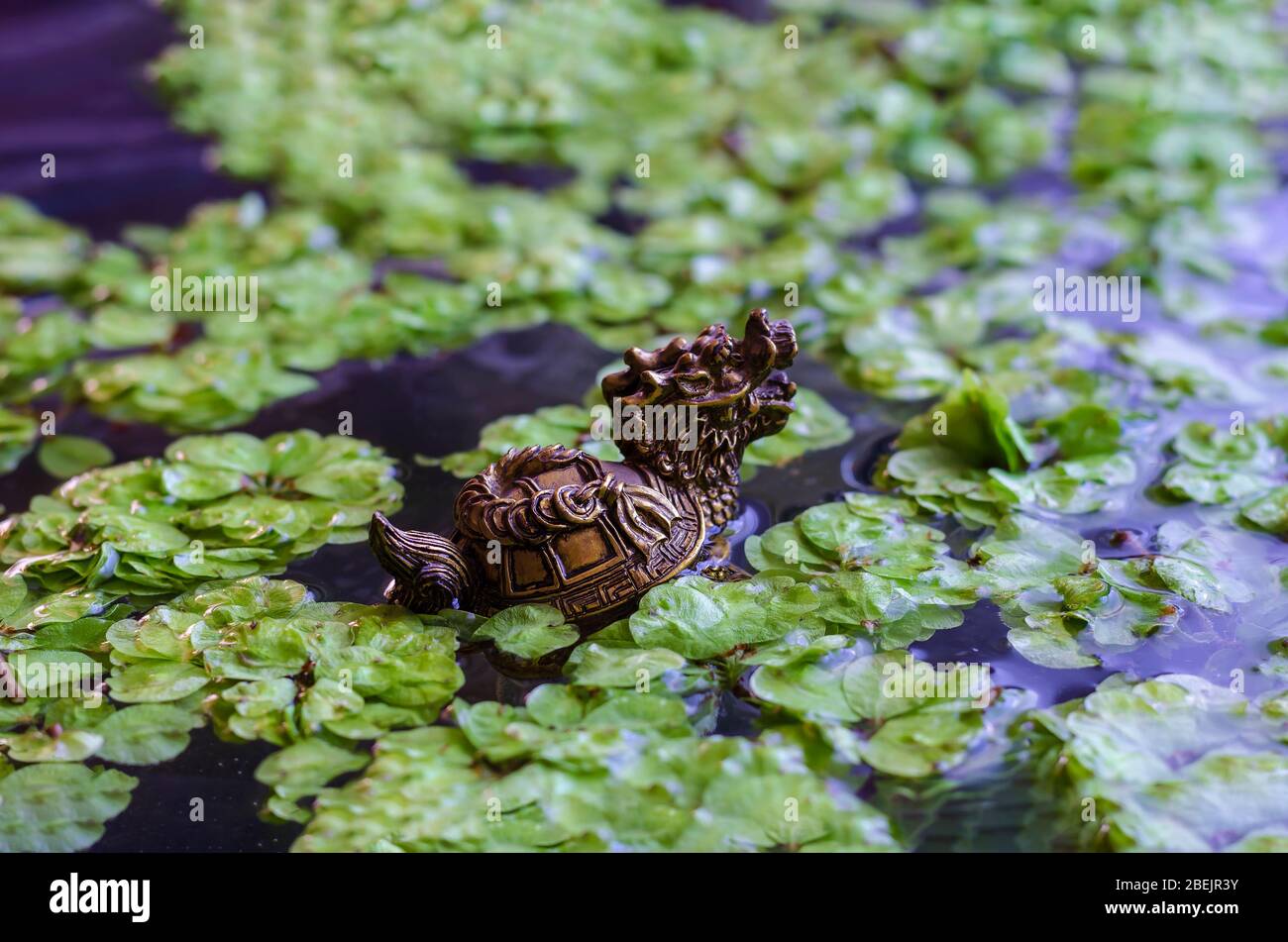 Drachenfigur in einem Teich mit grünen Blättern. Dekorativer Drache in