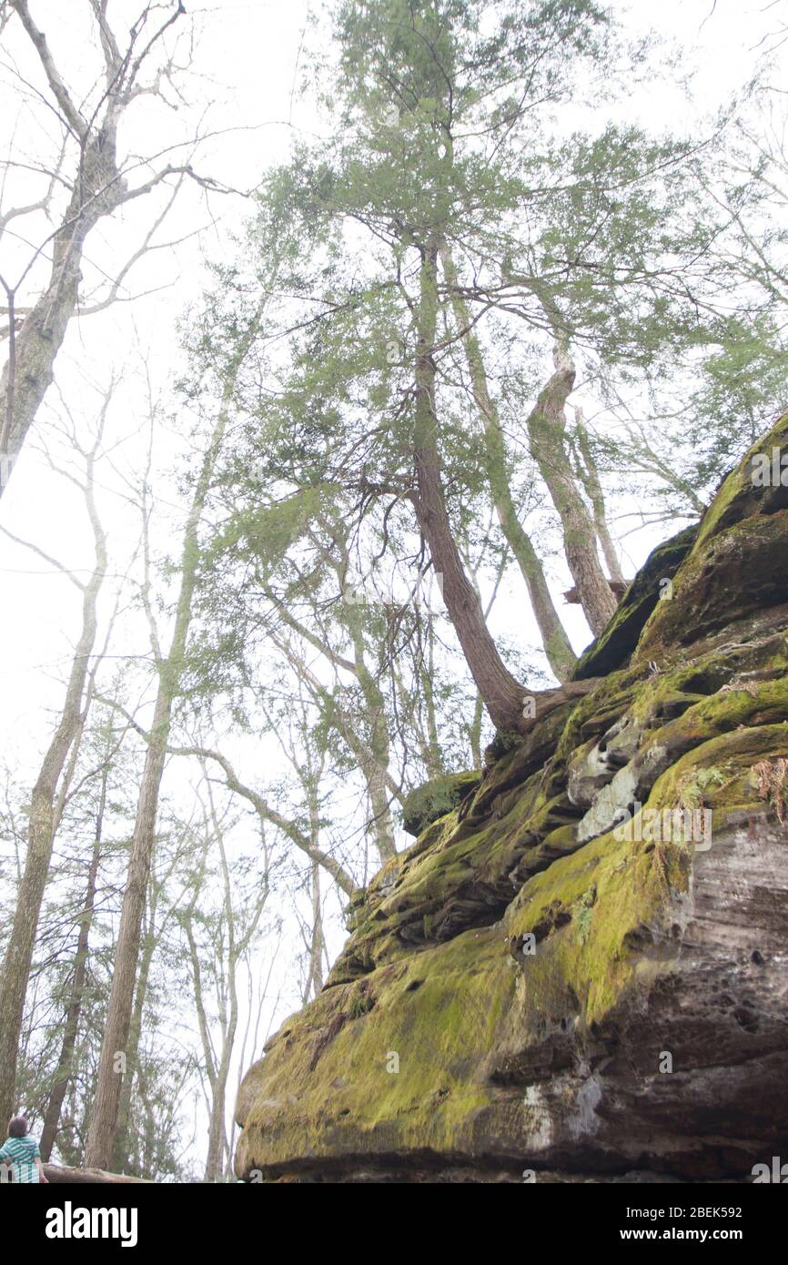 Beach City Wilderness Area, Dundee, Ohio Stockfoto