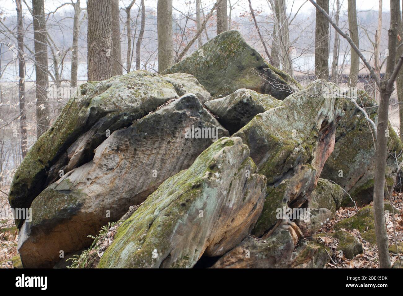 Beach City Wilderness Area, Dundee, Ohio Stockfoto