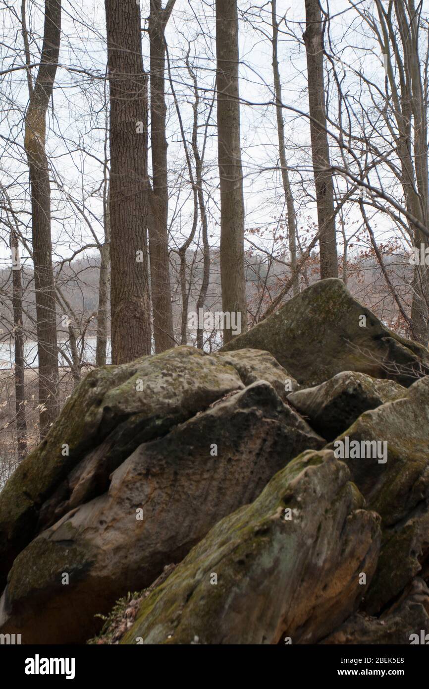 Beach City Wilderness Area, Dundee, Ohio Stockfoto