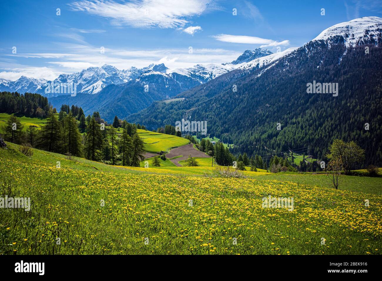 Landschaft in den Bergen, guarda schweiz schellen-ursli Land  Stockfotografie - Alamy