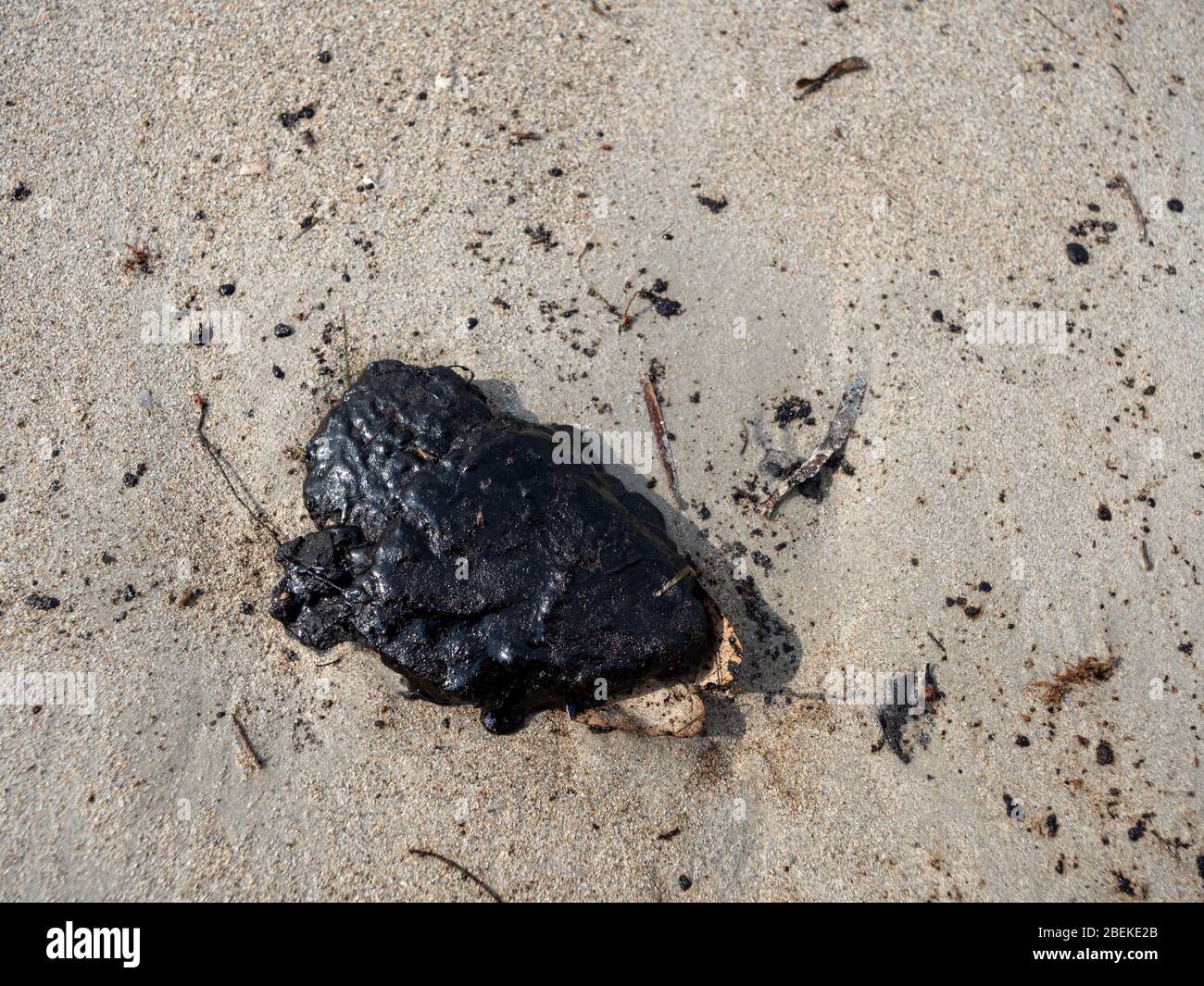 BINTAN, INDONESIEN – 7. MÄRZ 2020 – Nahaufnahme eines Teerballs / Teerpatty von Meeresölpüllern am Lagoi Beach Stockfoto