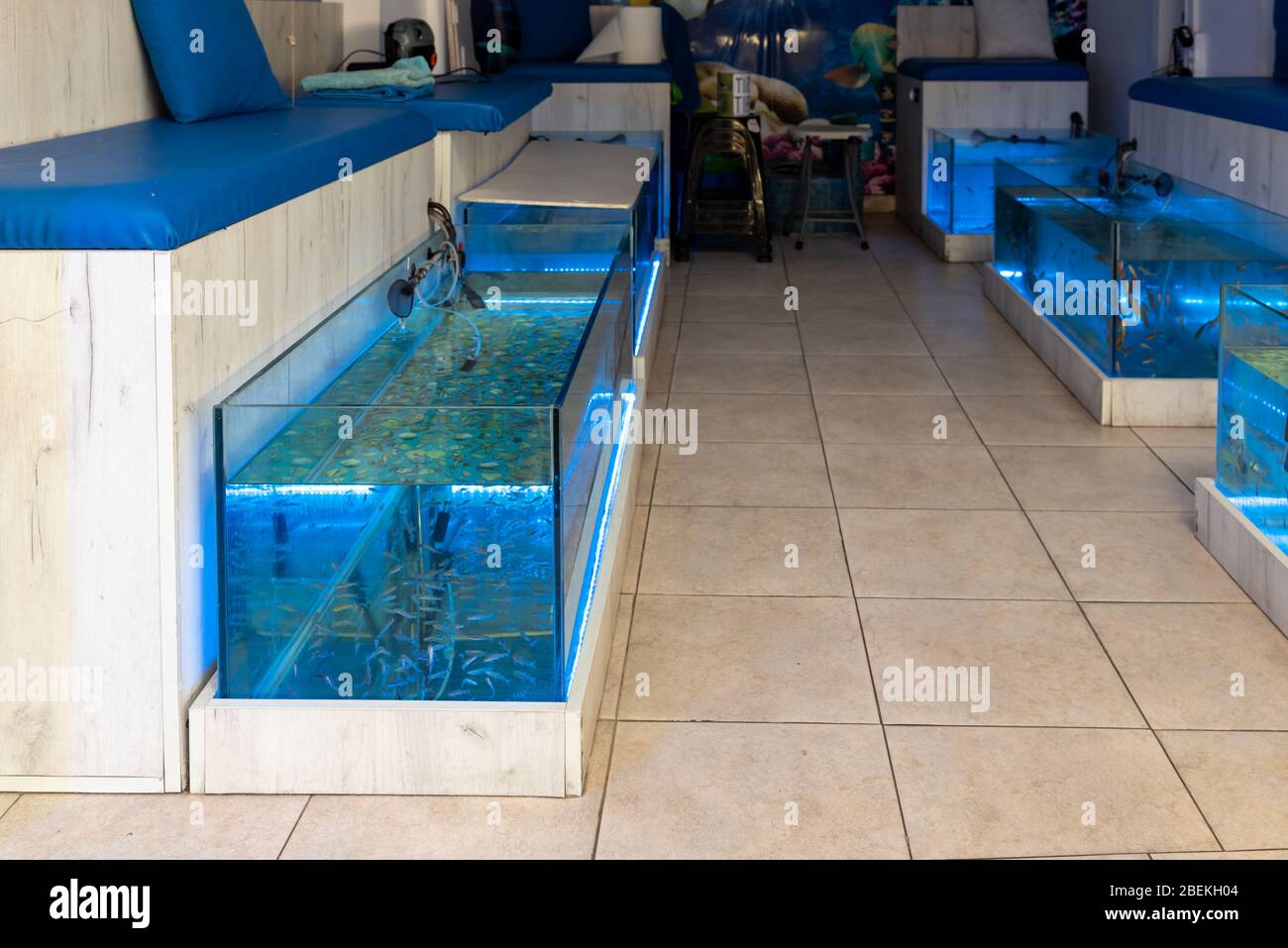 Pediküre Fisch Spa. Aquarium mit kleinen Fischen zur Fußmassage Wellness Hautpflege Stockfoto