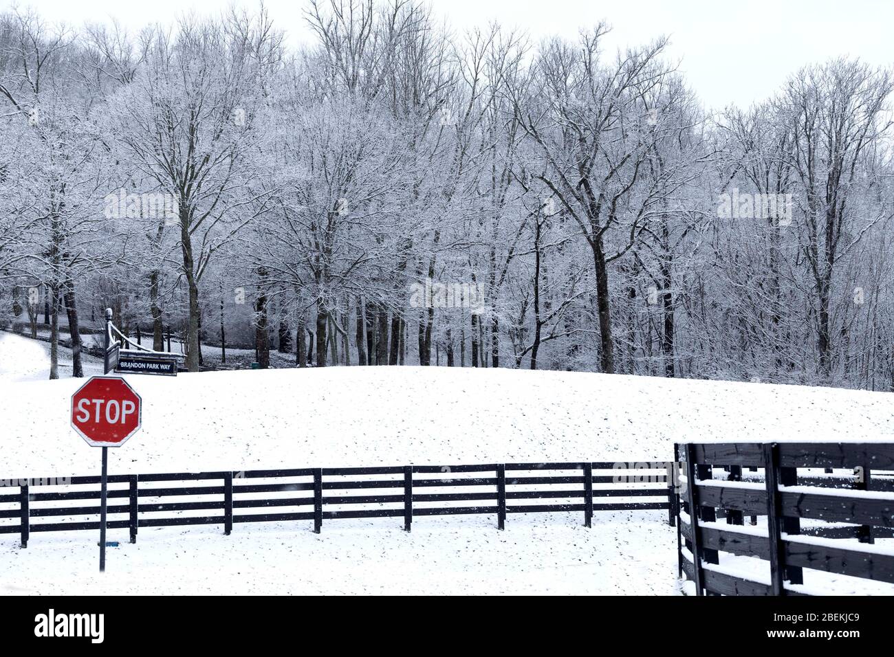 Winter in Tennessee Stockfoto