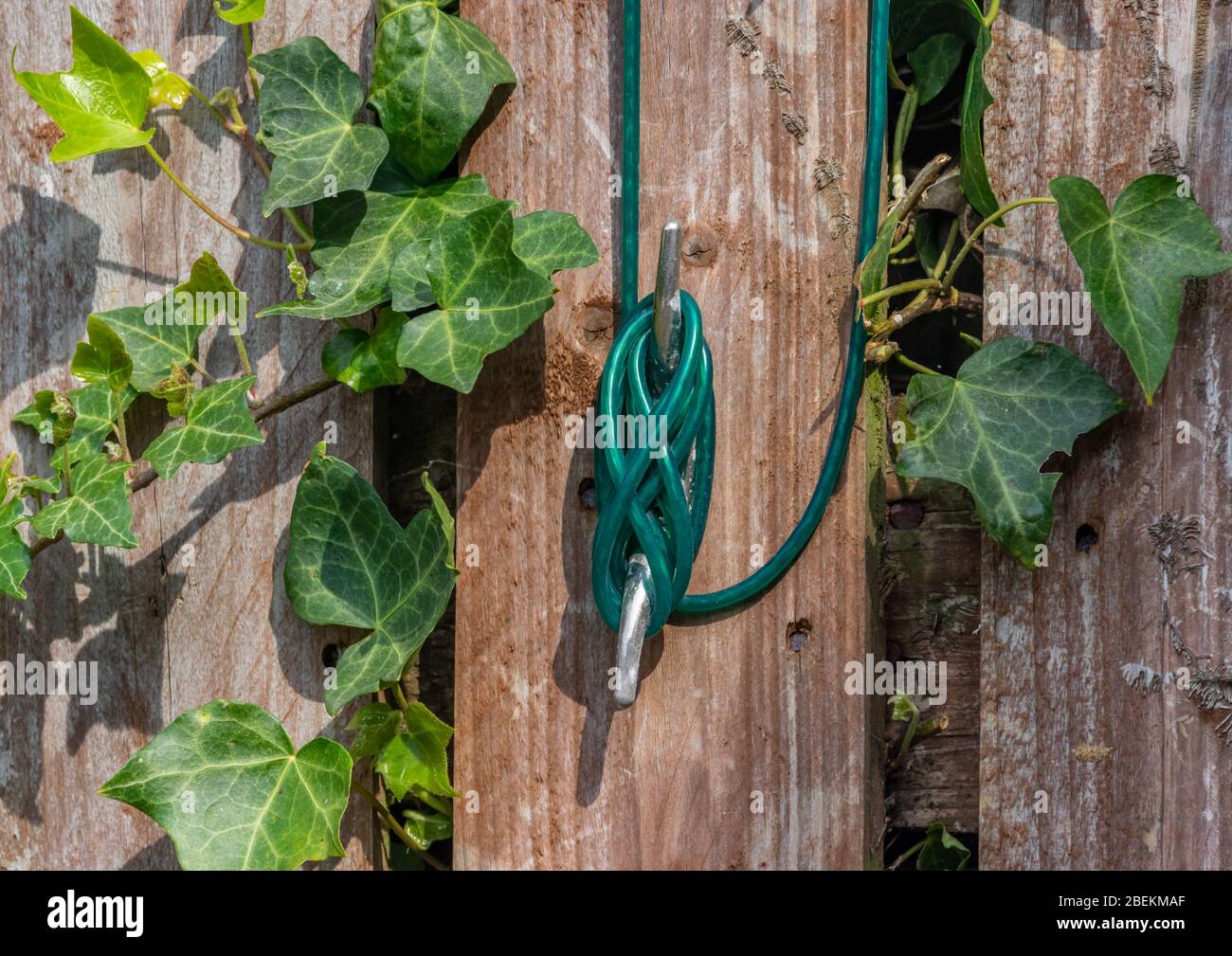 Eine grüne Waschlinie, die an einen Holzzaun mit einem Metallhaken gebunden ist. Stockfoto