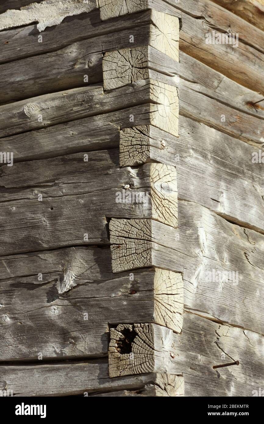 Einfache Schwalbenschwanzverbindungen verbinden angrenzende Wände eines einfachen Holzhaus in Rumänien Stockfoto