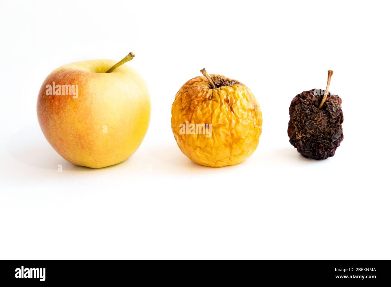 Drei Äpfel: Jung, alt, tot. Konzept der Alterung der menschlichen Haut verschiedener Altersgruppen. Auf weißem Hintergrund. Isolieren. Stockfoto