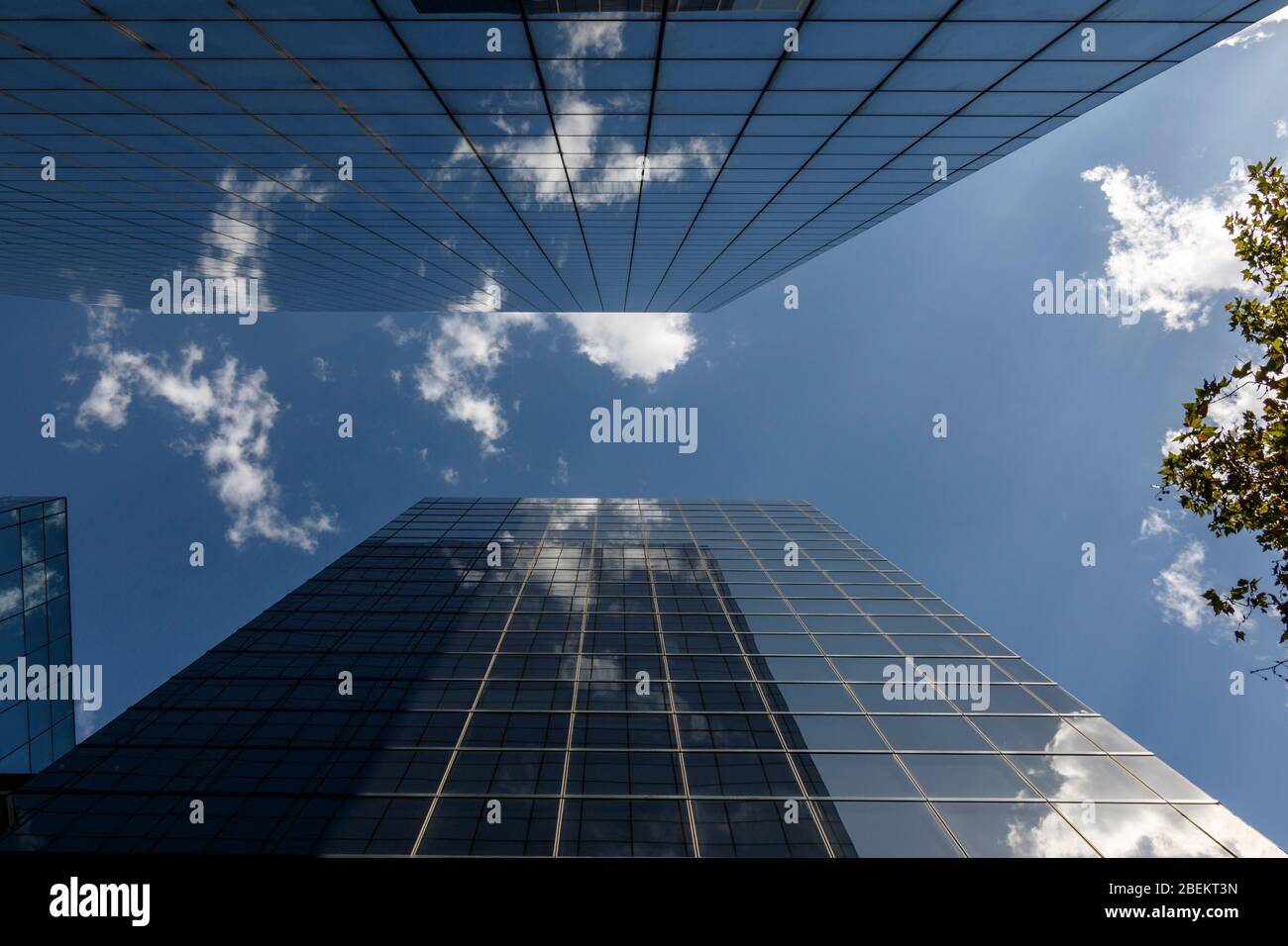 Zwei Business-Türme von unten gesehen Stockfoto