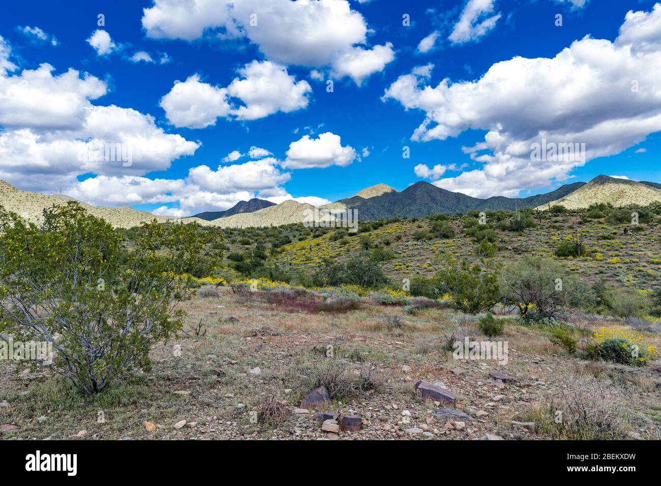 Wandern in Sedona Arizona mit der Familie Stockfoto