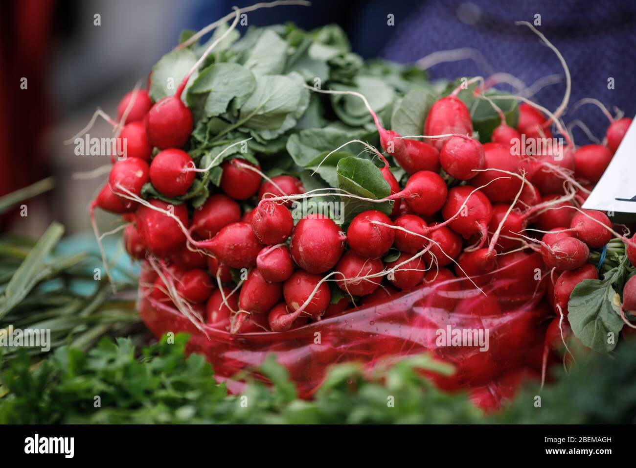 Bild mit geringer Schärfentiefe (selektiver Fokus) mit Radieschen, die in einem Gemüsestand verkauft werden. Stockfoto