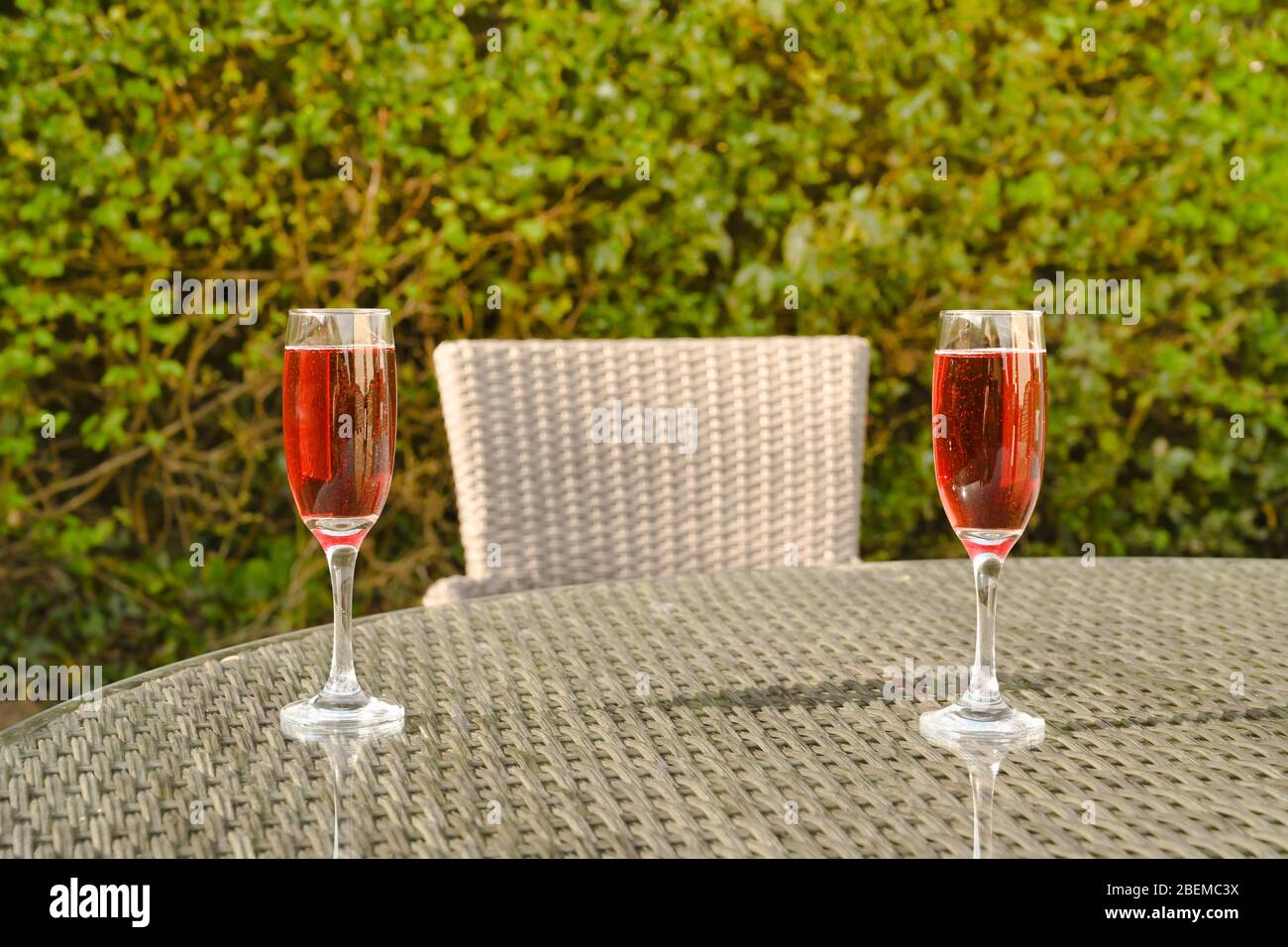 Rosa Champagner in zwei Flötengläsern auf einer Glastisch-Platte im Garten Stockfoto