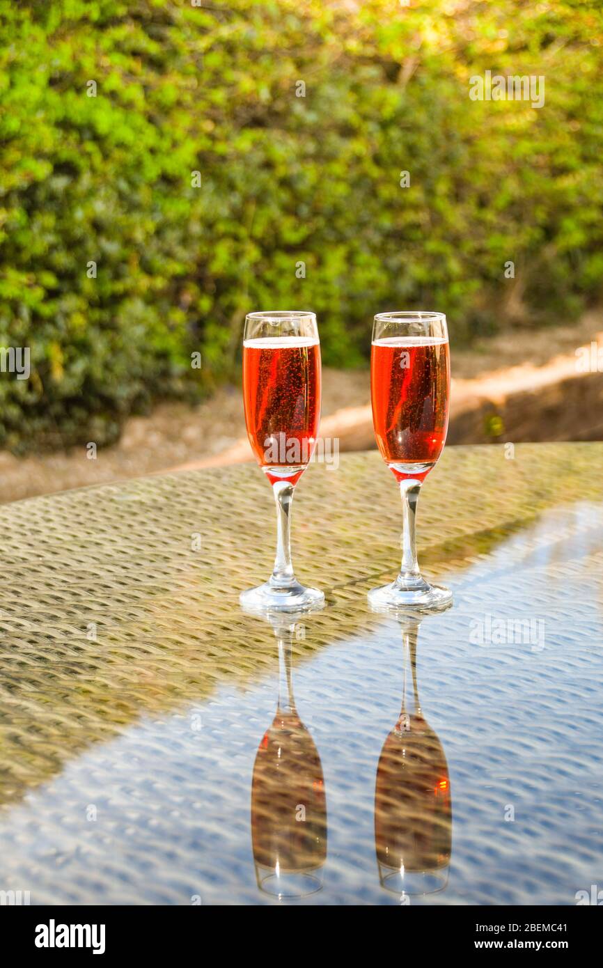 Rosa Champagner in zwei Flötengläsern nebeneinander auf einer Glastisch-Platte im Garten Stockfoto