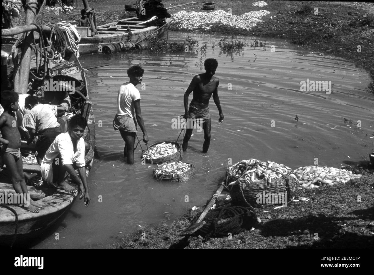 Fischer in Kalkutta Indien Stockfoto