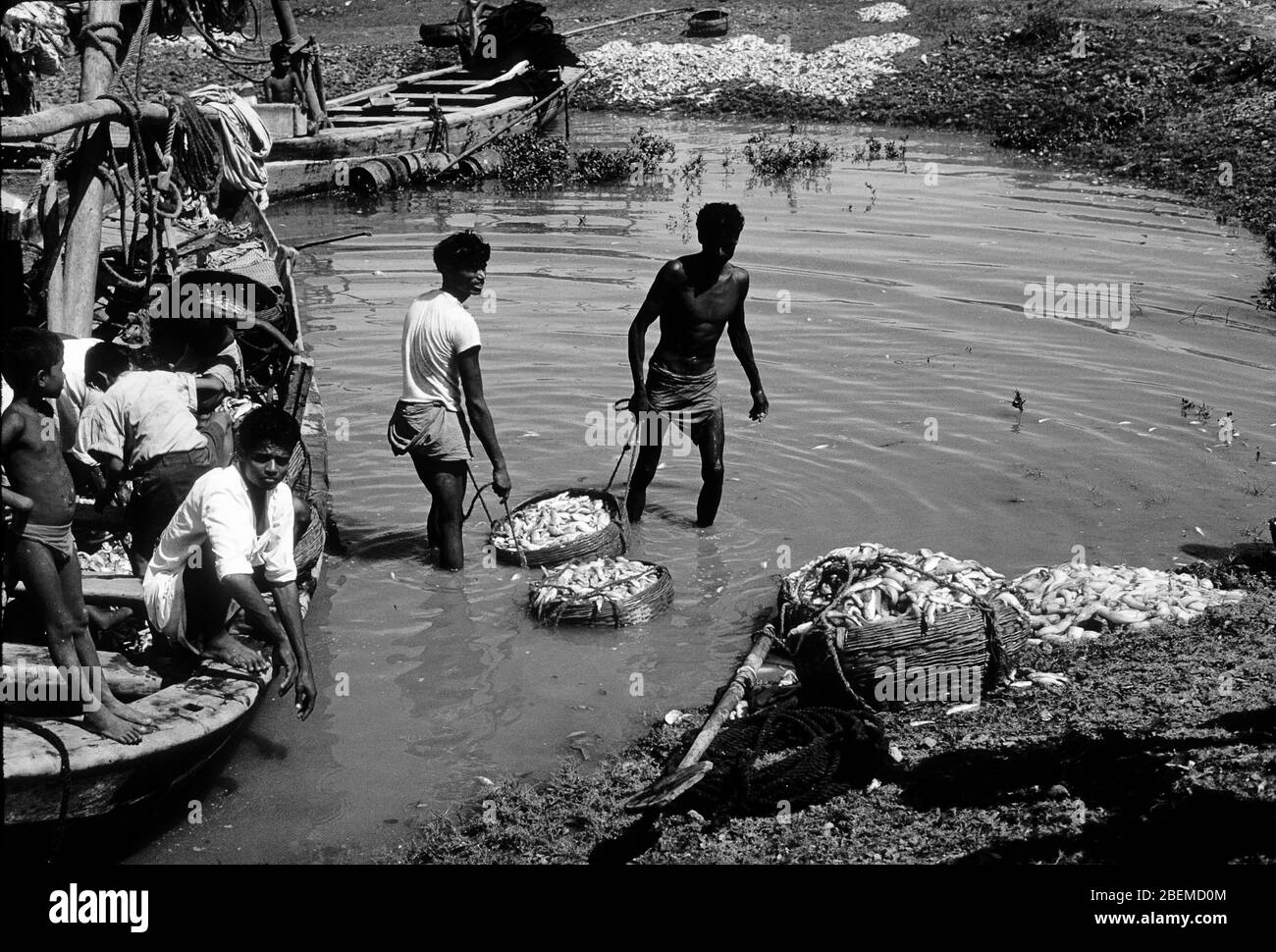 Fischer in Kalkutta Indien 1960er Jahre Stockfoto