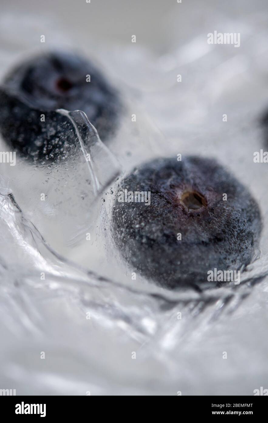 Heidelbeeren in Eis eingefroren Stockfoto