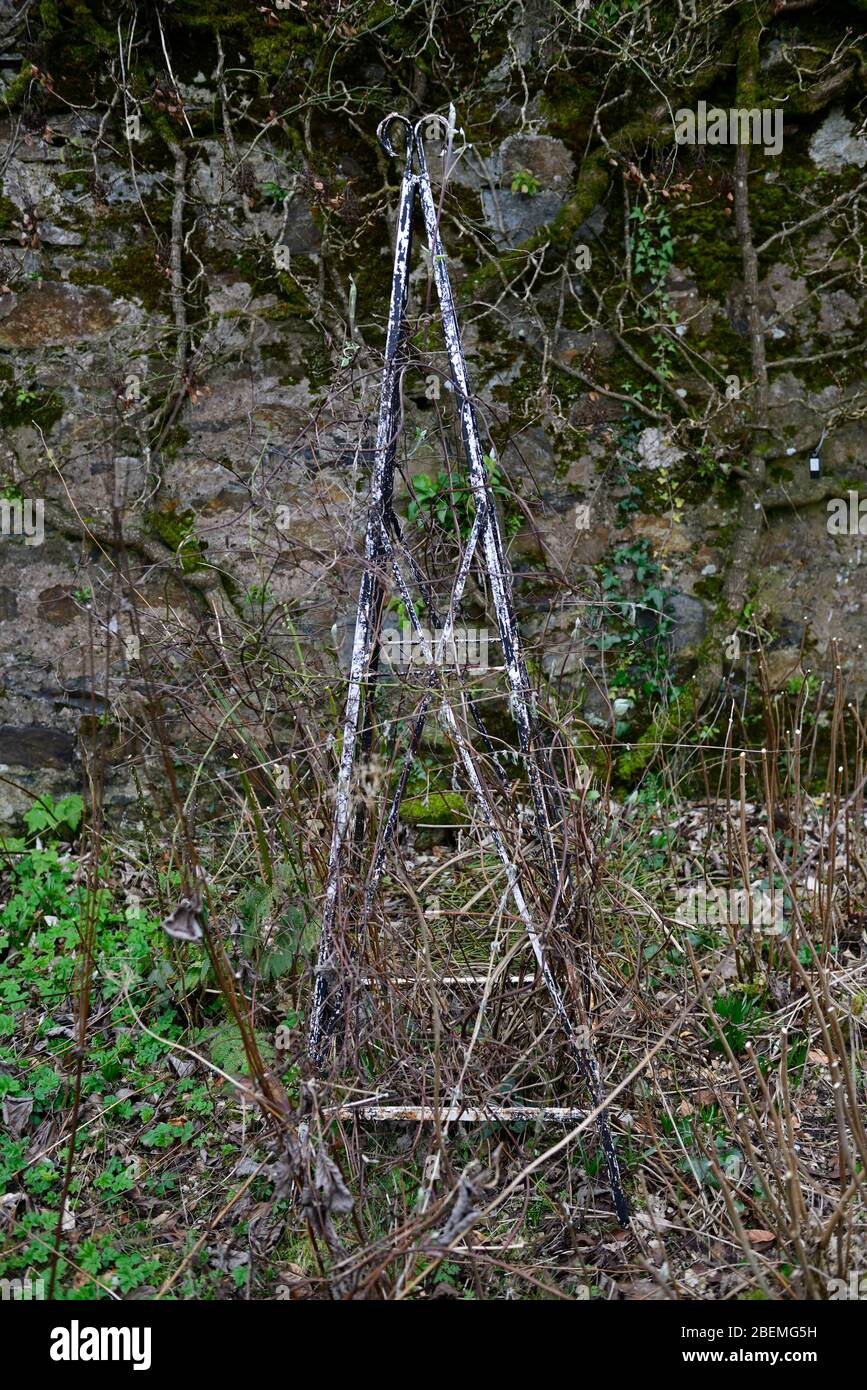 Clematis Winter Stockfotos Und Bilder Kaufen Alamy