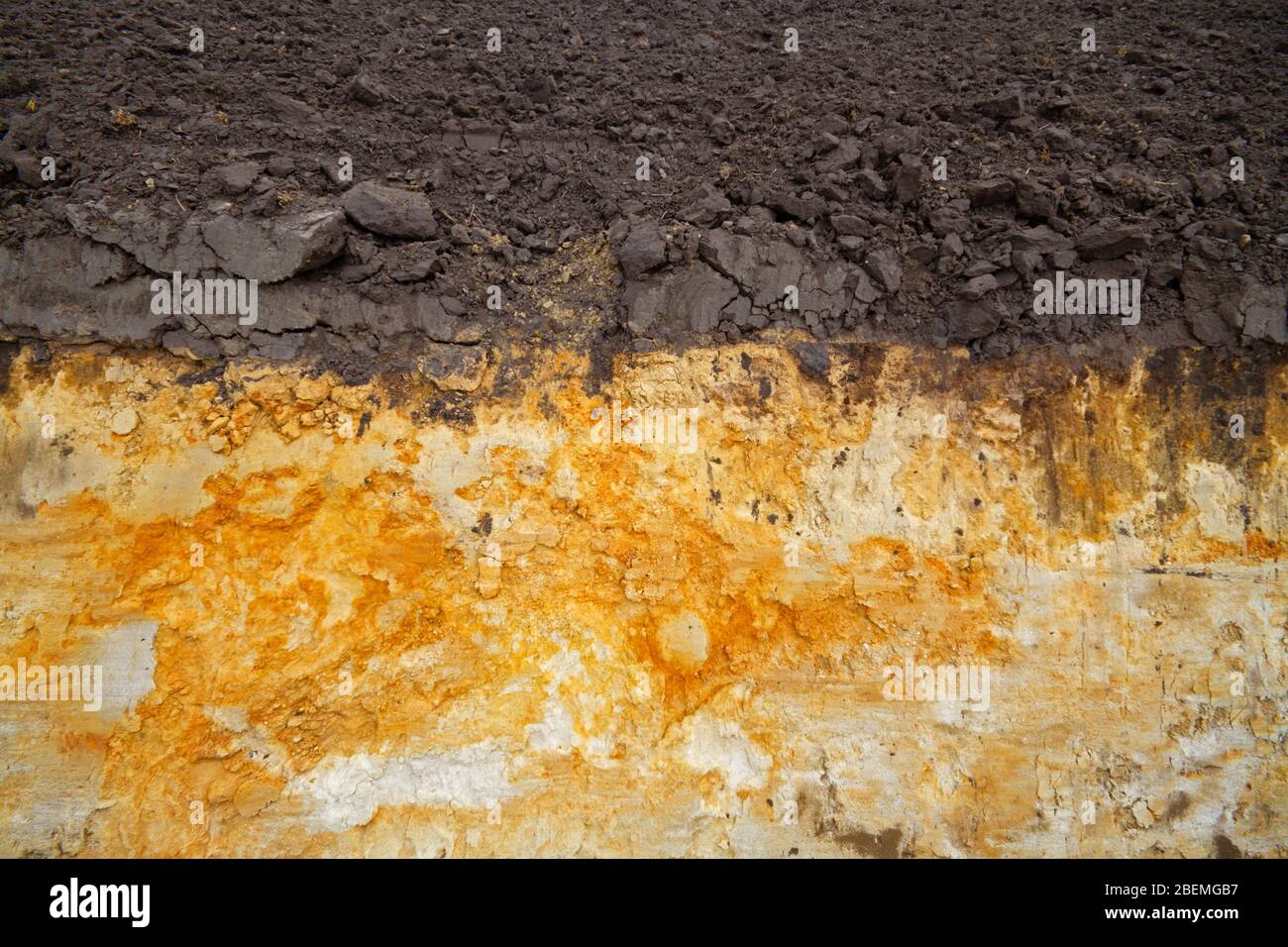 Die Seite eines frisch gegrabenen Feldrainage Graben zeigt Bodenschichtung humos Oberboden und Eisenniederschläge im Untergrund Stockfoto