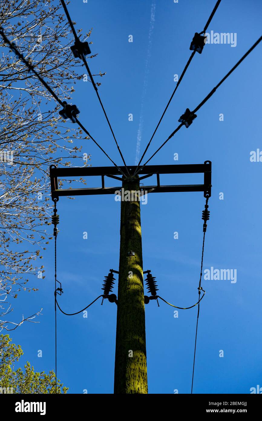 Blick nach oben auf die Spitze eines elektrischen Stromleitungsmasten gegen einen klaren blauen Himmel mit Baumkronendach links von den Stromleitungen. Stockfoto