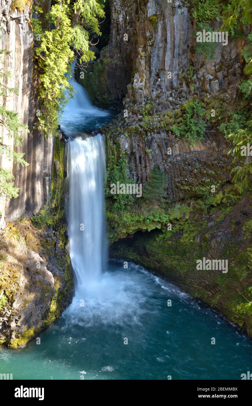 Blick auf den Umpqua River bei Toketee Falls in Douglas County, Oregon Stockfoto