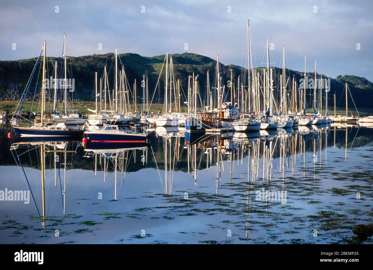 Segelboote & Yachten in Ardfern Yacht Center Marina mit schönen Reflexen in ruhigen Gewässern von Loch Craignish, Lochgilphead, Schottland, Großbritannien Stockfoto