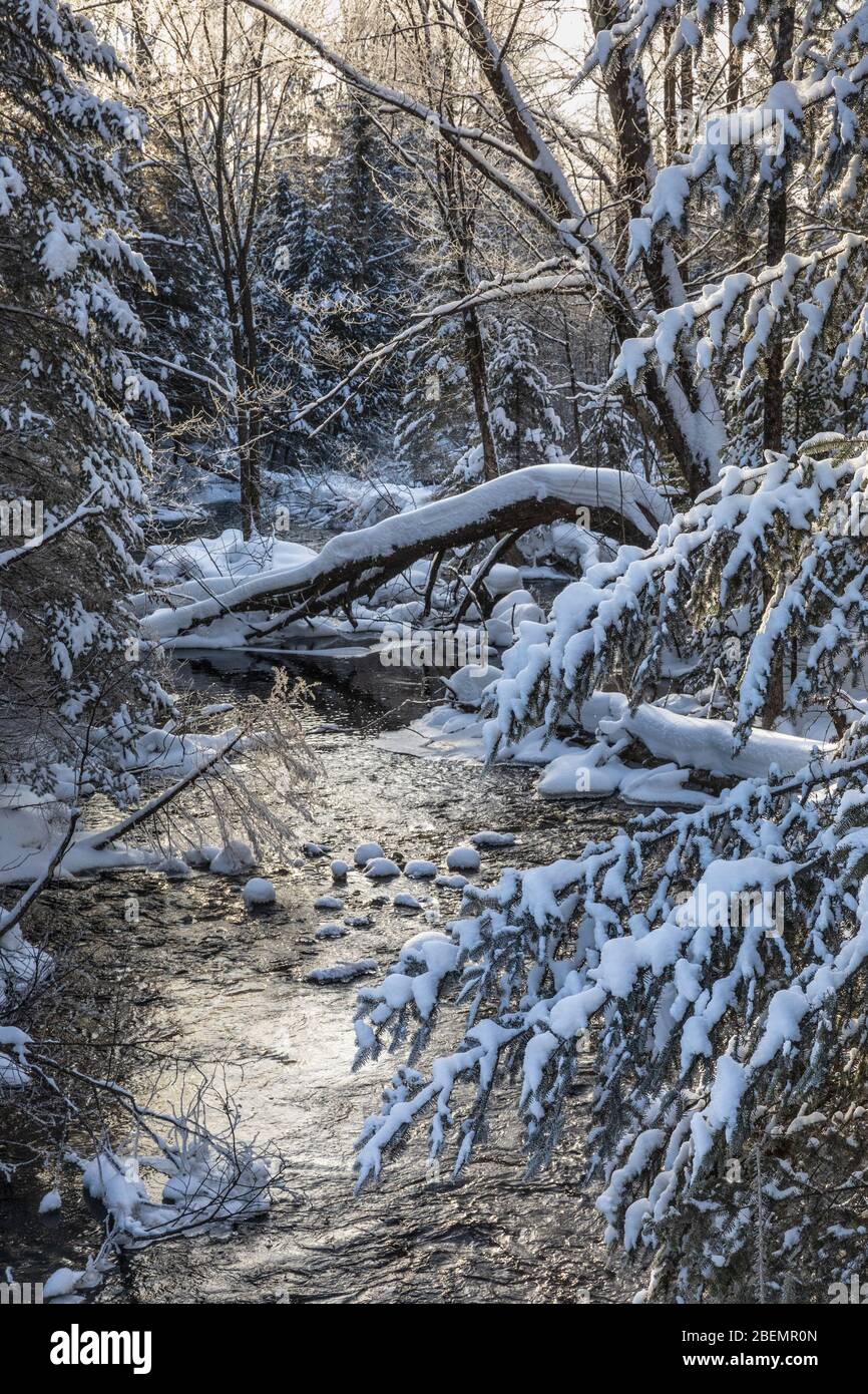 Die östliche Gabelung des Chippewa River im Norden von Wisconsin. Stockfoto