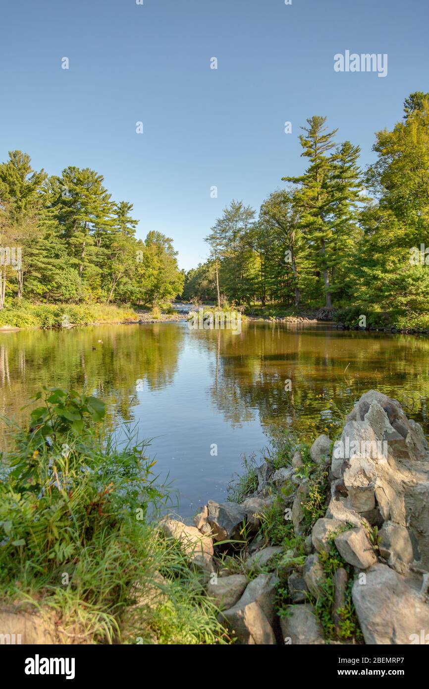 Friedlicher Teich umgeben von immergrünen Bäumen an einem hellen suny Morgen Stockfoto