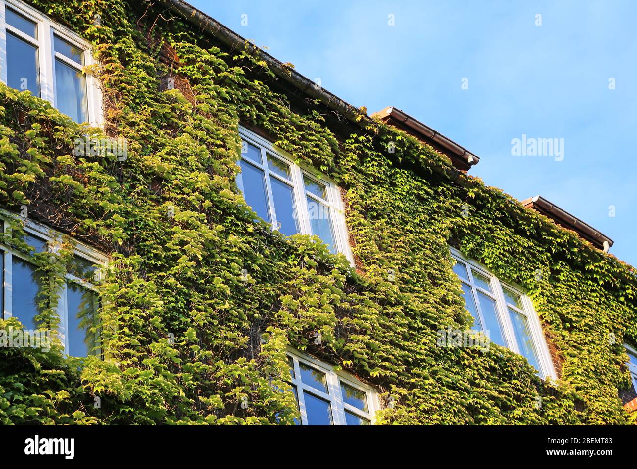 Wohnhaus mit grüner Fassade Stockfoto