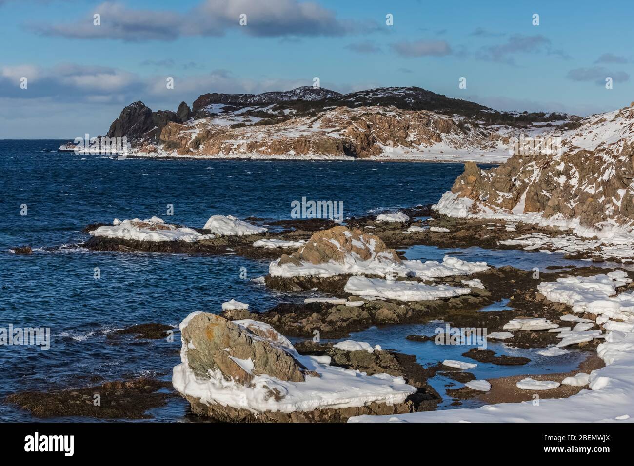 Felsige Nordatlantikküste in Twillingate, Neufundland, Kanada Stockfoto