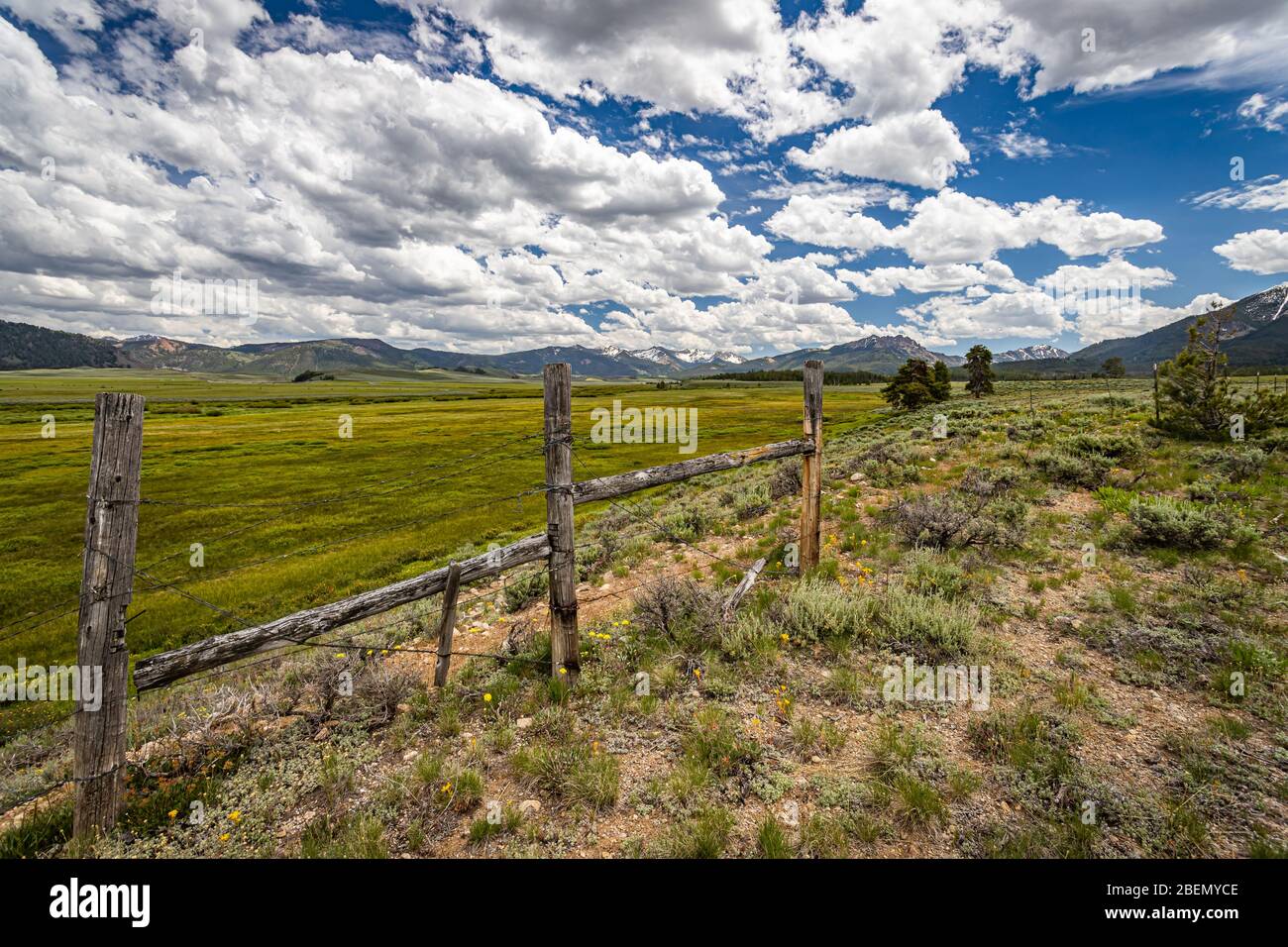 Der Sawtooth National Forest erstreckt sich über zwei Millionen Hektar im Süden von Idaho und im Norden von Utah. Stockfoto