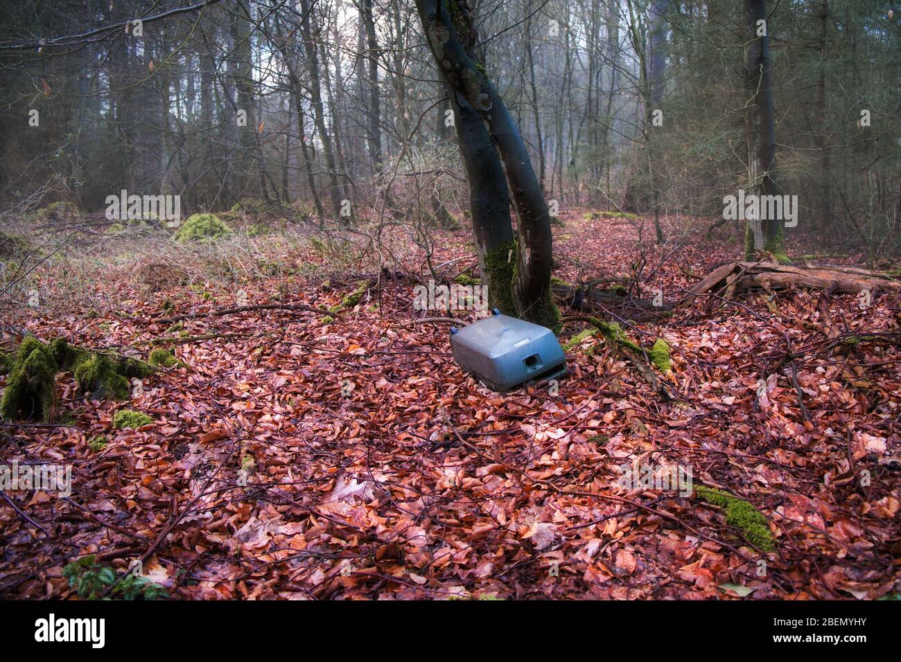 Blaue Plastikbox, die im Wald weggeworfen wird, unter dem Baum auf dem Boden sitzend, bedeckt mit verdorrten Blättern. Landschaftsfoto im Frühjahr oder Stockfoto