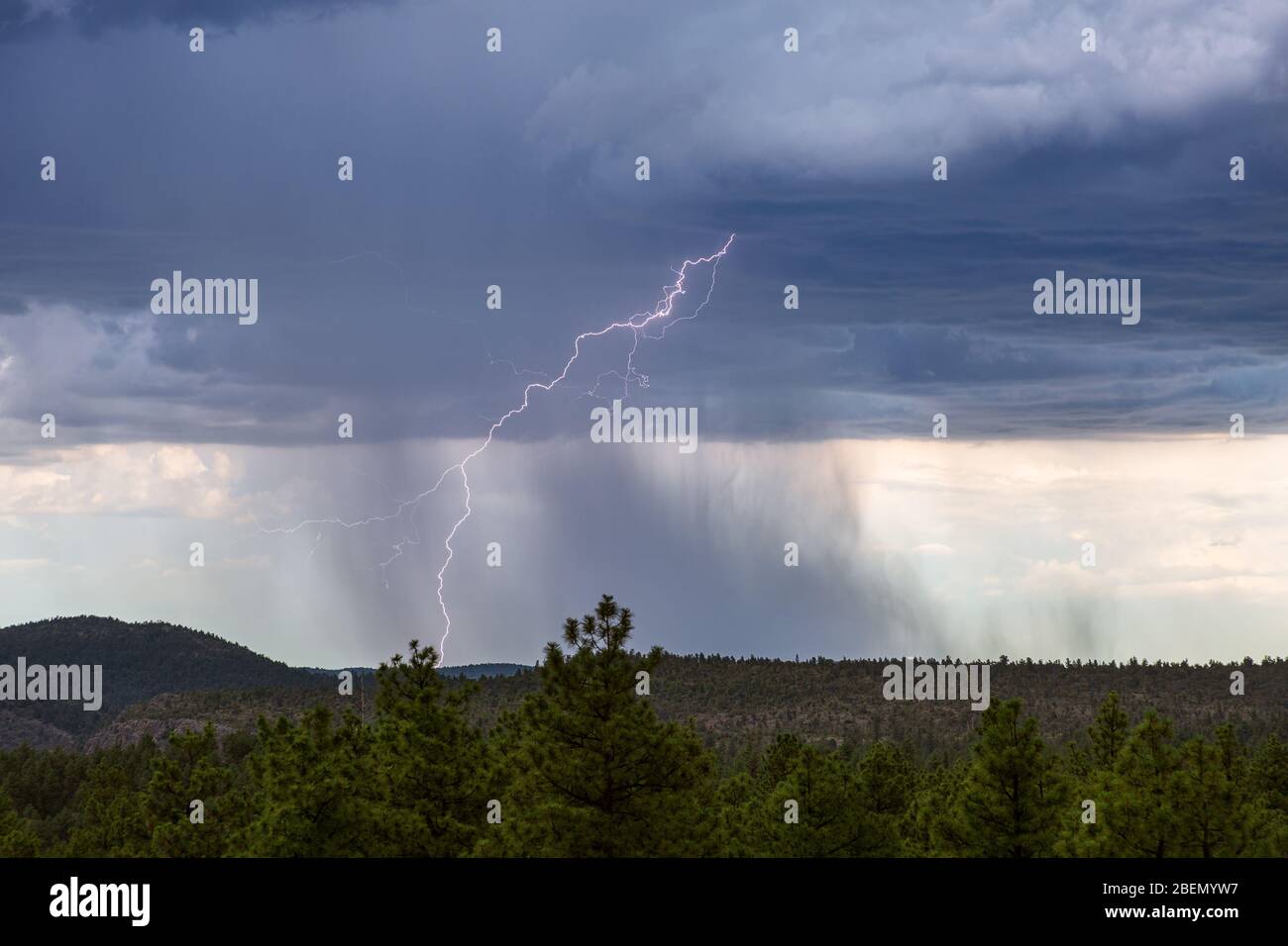 Gewitter mit Blitzeinschlag und Regen, der von dunklen Wolken über dem Mogollon Rim in der Nähe von Pine, Arizona, fällt Stockfoto