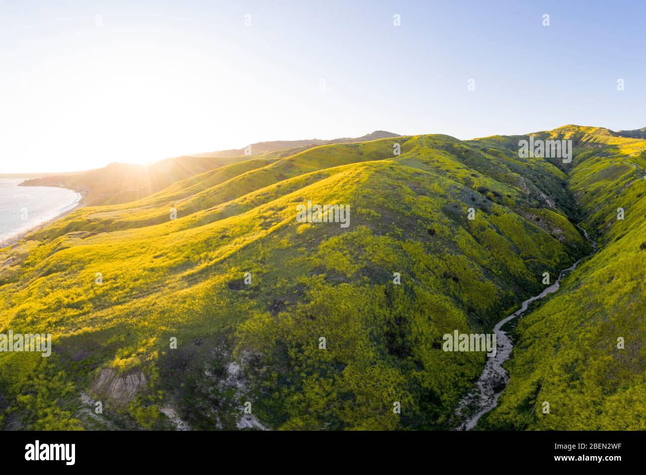 Idyllische kalifornische Hügel mit Wildblumen am Sunset Aerial Stockfoto