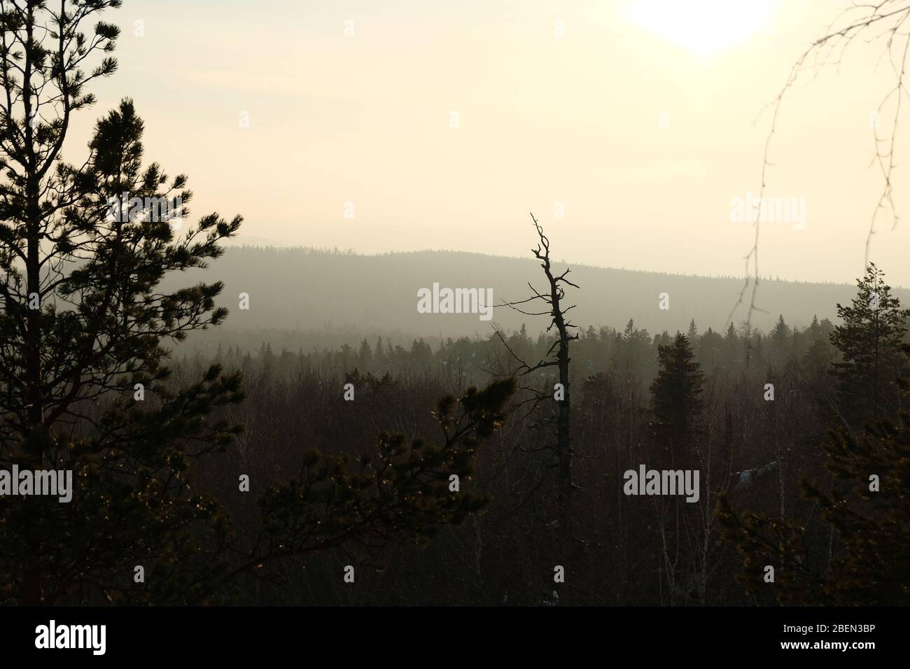 Winter Ural Landschaft. Waldhorizonte Stockfoto