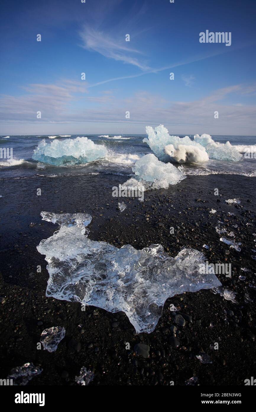 Gestrandete Eisberge am schwarzen Sandstrand im Südosten Islands Stockfoto