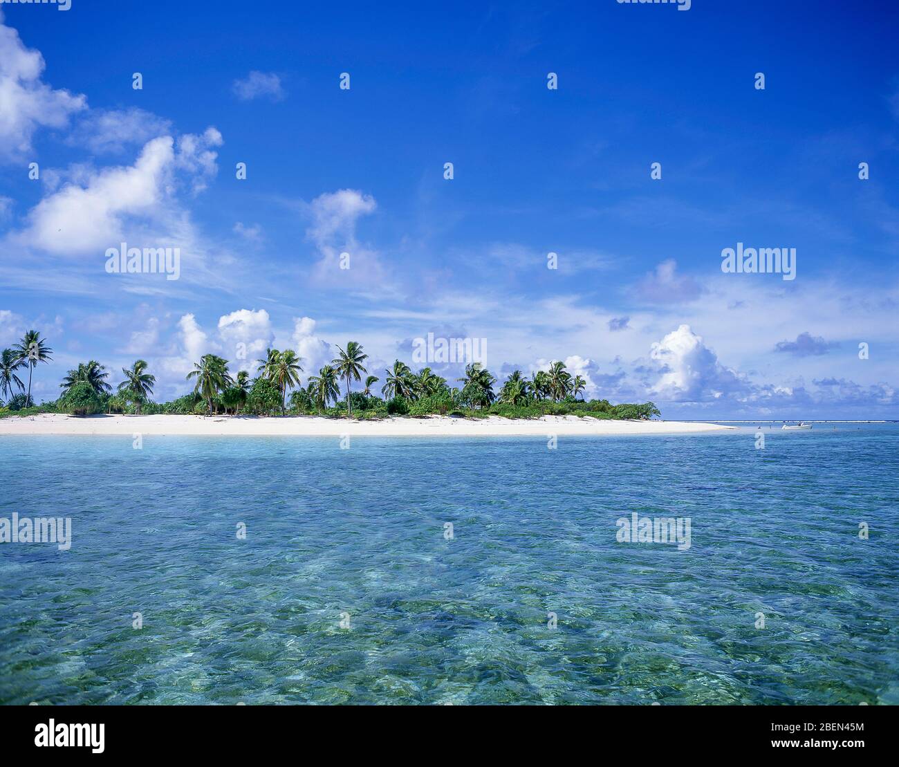 Tropische Insel vom Meer, Aitutaki Atoll, Cook Inseln Stockfoto