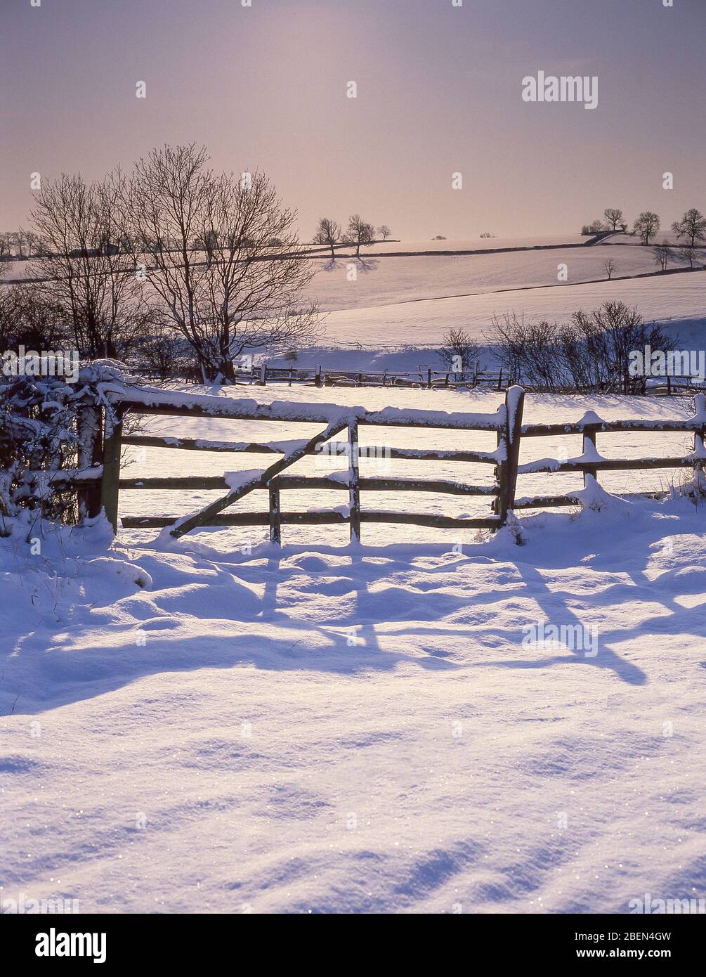 Farm Gate im Winterschnee in der Nähe von Newton Abbott, Devon, England, Vereinigtes Königreich Stockfoto