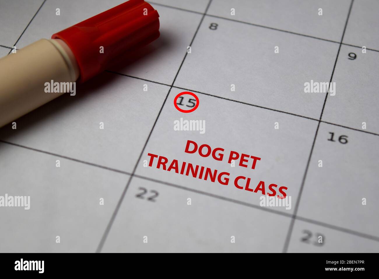 Hund Haustier Training Klasse auf Monatskalender und markiert 15. Isoliert auf Büroschreibtisch Stockfoto