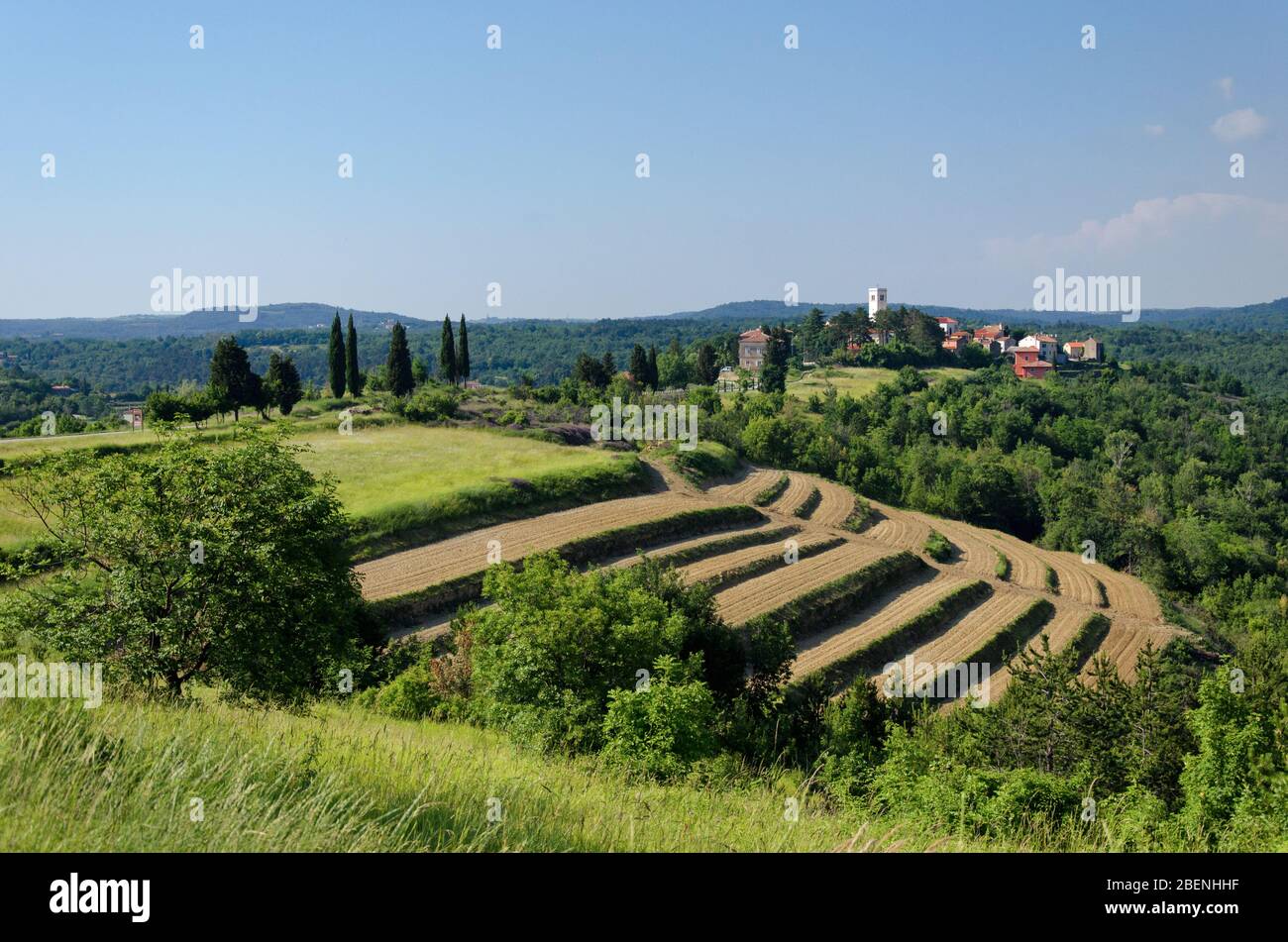 Schöne Landschaft mit fruchtbaren Feldern und grünem Gras im Vordergrund, und mit der malerischen Stadt und blauen Himmel im Hintergrund Stockfoto