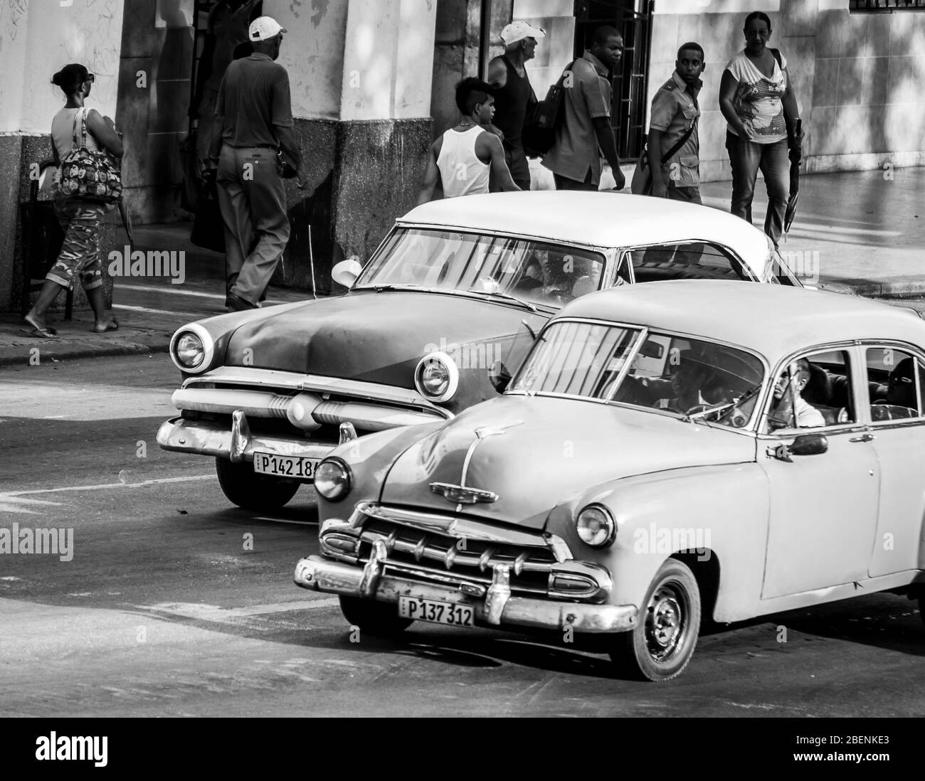 Nahaufnahme von zwei kontrastierenden farbigen klassische Autos (aus Amerika während der 1950 eingeführten s) auf den Baum gesehen, gesäumt von Prado in Havanna eine August Abend Stockfoto