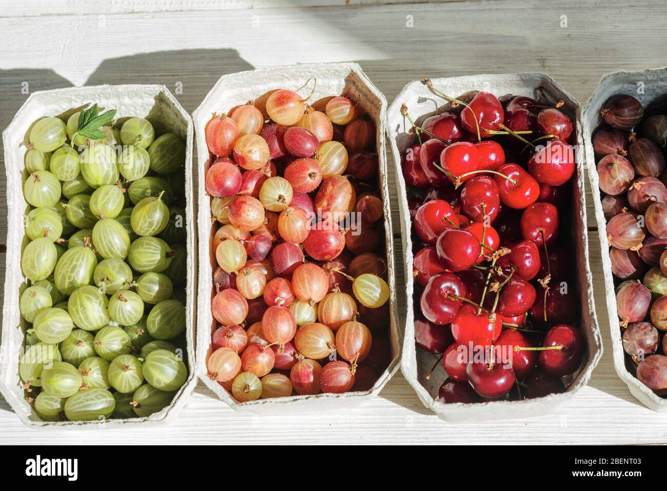 Bio-Obststand mit saisonalen Früchten und Beeren auf dem lokalen Markt der Stadt. Obst in Papierkörben auf dem Marktplatz Stockfoto