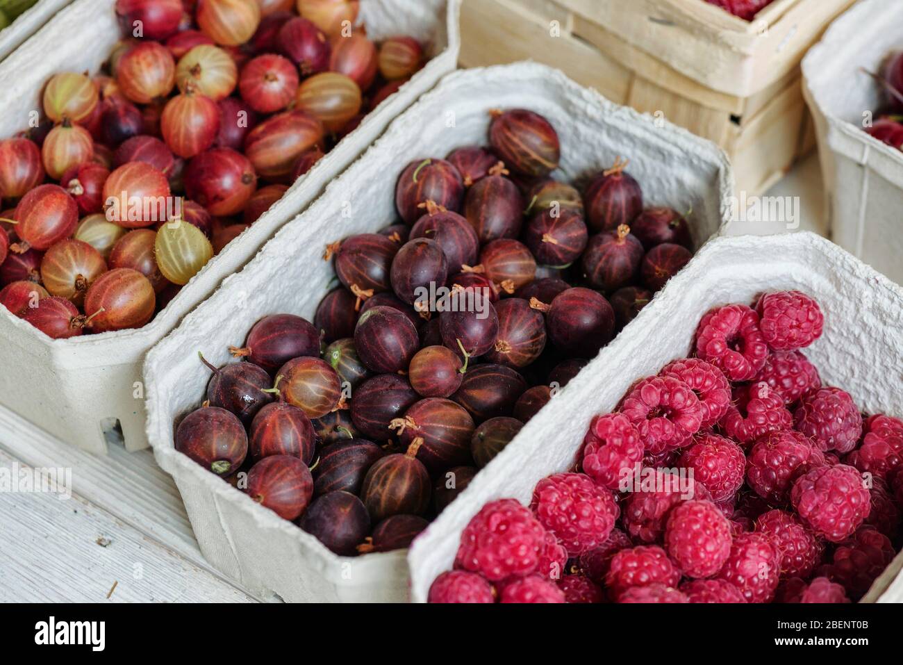 Bio-Obststand mit saisonalen Früchten und Beeren auf dem lokalen Markt der Stadt. Obst in Papierkörben auf dem Marktplatz Stockfoto