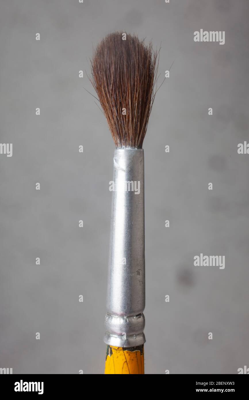 studio Foto von kleinen Pinsel auf grau gefleckten Hintergrund Stockfoto