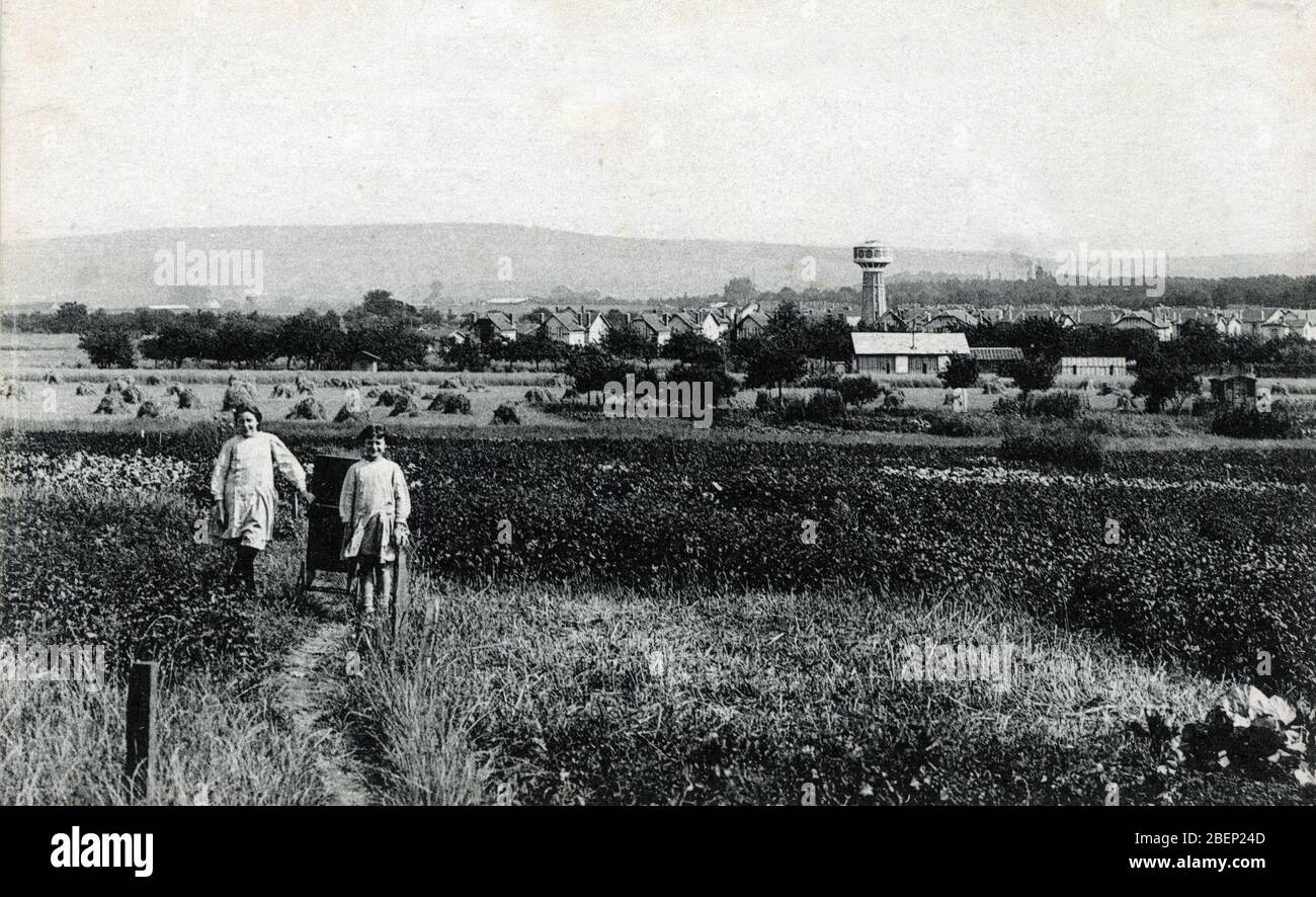 Vue des jardins ouvriers (familiaux) des cites ouvrieres de Chambly, Oise (Kleingarten oder Gemeinschaftsgarten der Firma Stadt Chambly, Oise) Postauto Stockfoto