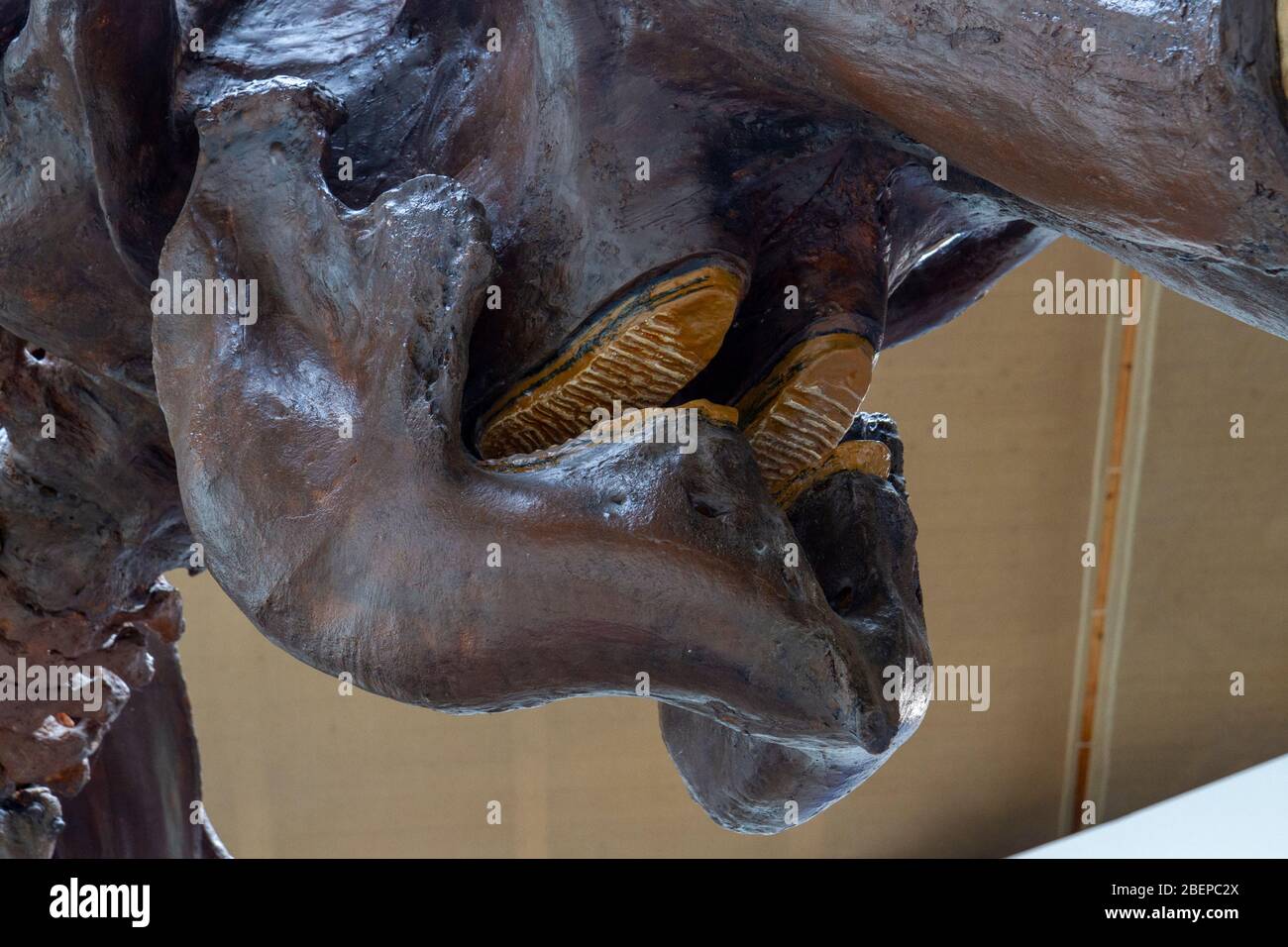 Der Kiefer auf dem Siegsdorfer mammut, einem Wollmammut (Mammuthus primigenius), Siegsdorfer Mammutmuseum, Siegsdorf, Deutschland Stockfoto