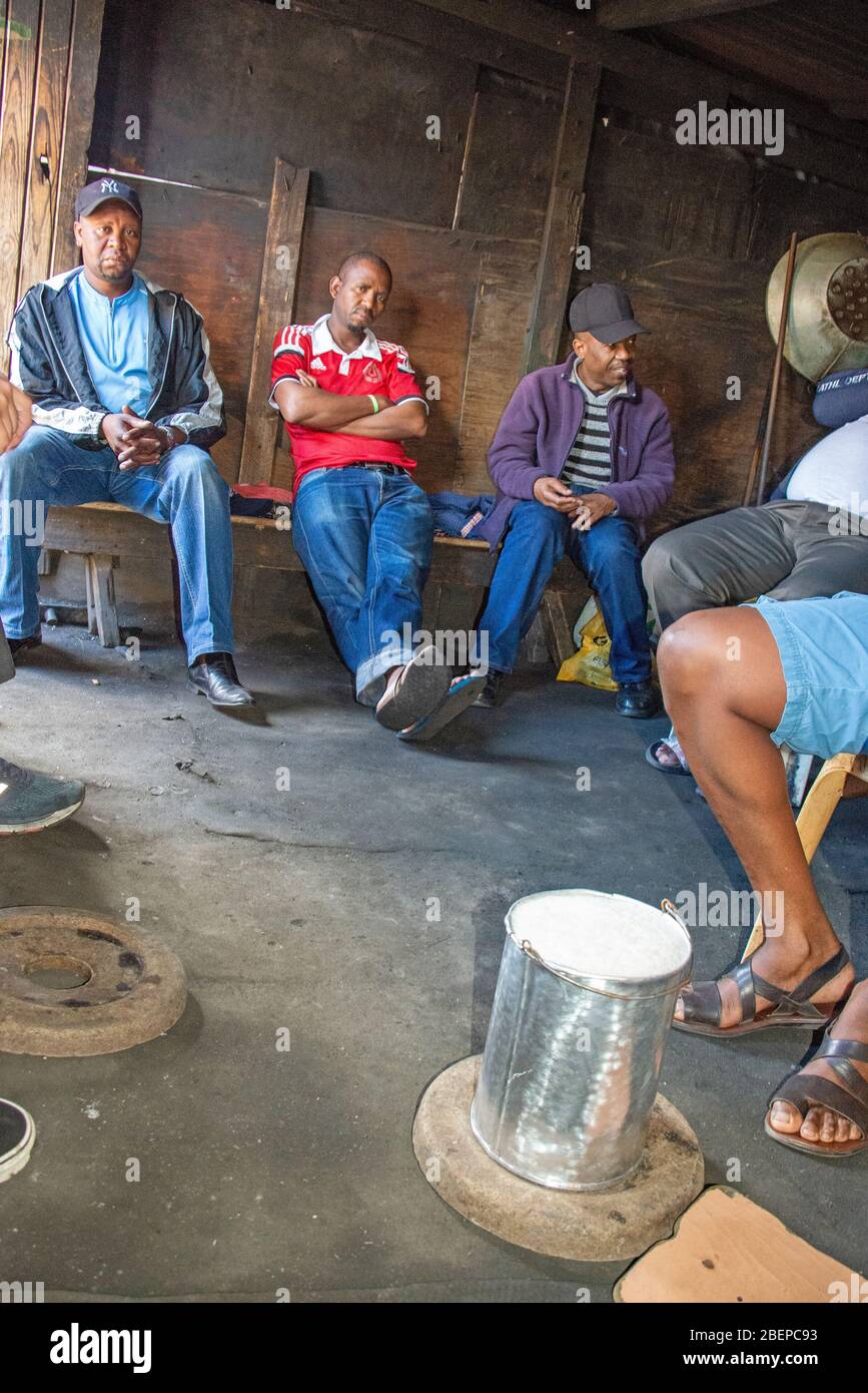 Männer trinken mit Freunden in einem Shebeen in einem Township in Kapstadt. Sie trinken umqombothi, die zu Hause gebraut und in Silbereimer serviert wird. Stockfoto