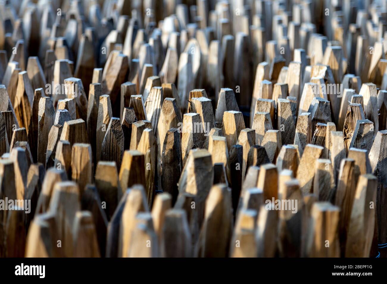 Hintergrund Holzpfähle Stockfoto