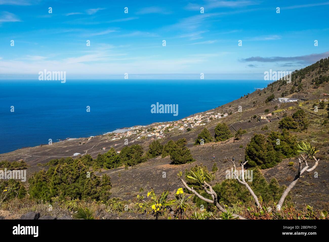 La Palma, Canarias Stockfoto